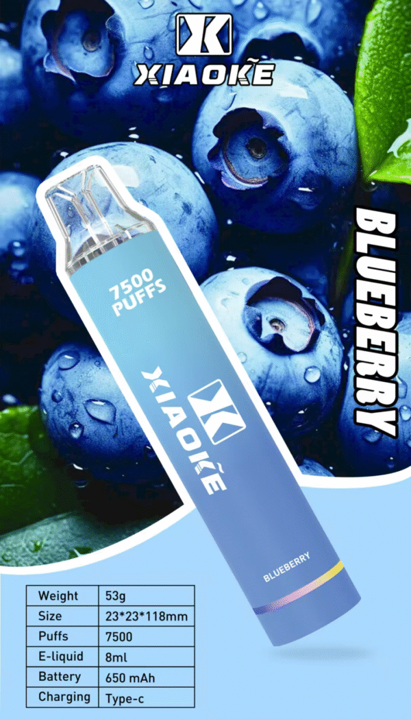 新品【XIAOKE梟客 抛棄式7500口 】可充電🔋 限時活動