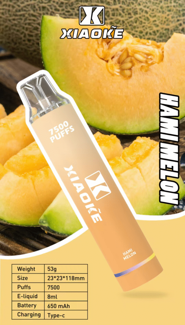 新品【XIAOKE梟客 抛棄式7500口 】可充電🔋 限時活動
