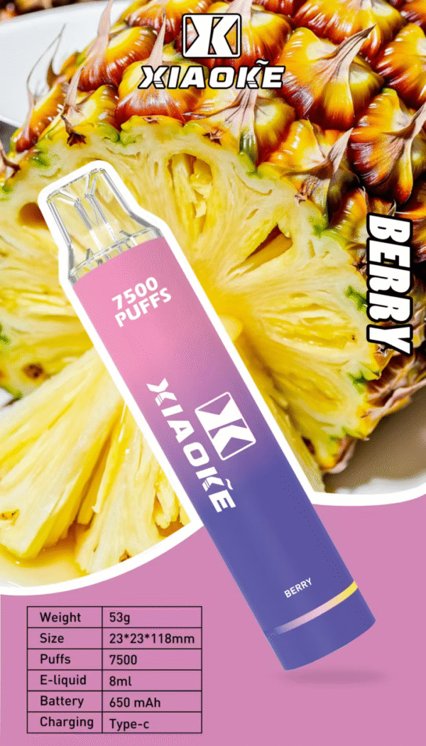 新品【XIAOKE梟客 抛棄式7500口 】可充電🔋 限時活動